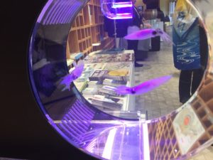 ご当地アンテナショップ巡り「日本橋とやま館」上質な暮らしを富山から