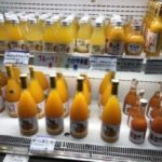 みかんと梅だけじゃない!花粉症に効く果実も?わかやま紀州館
