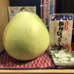 栃木の魅力まるごと「とちまるショップ」かんぴょうの原料って?