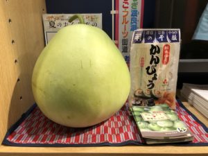 栃木の魅力まるごと「とちまるショップ」かんぴょうの原料って?